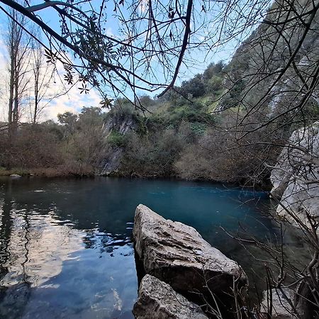 Molino Del Caracol Villa Benaoján Kültér fotó