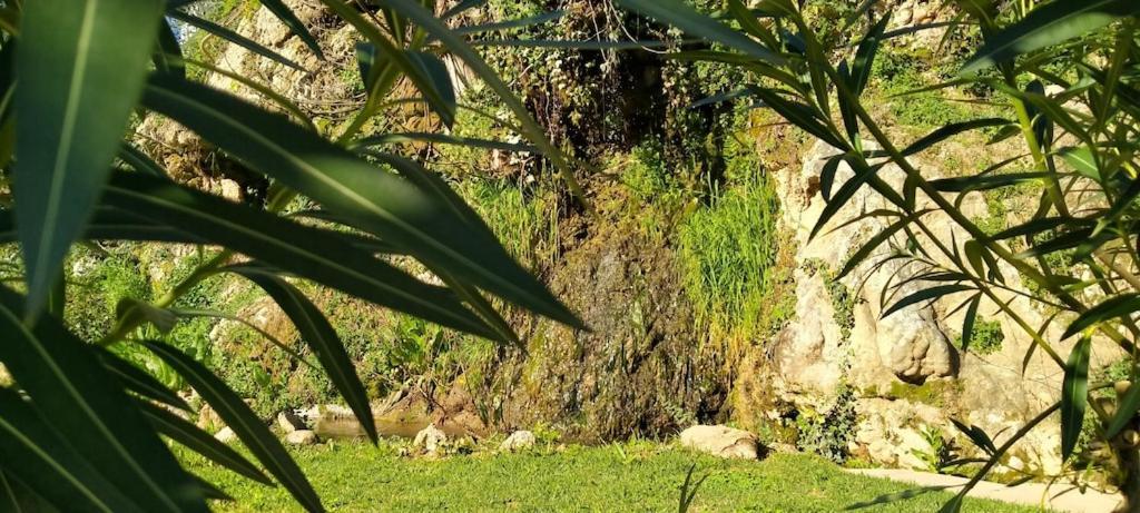 Molino Del Caracol Villa Benaoján Kültér fotó