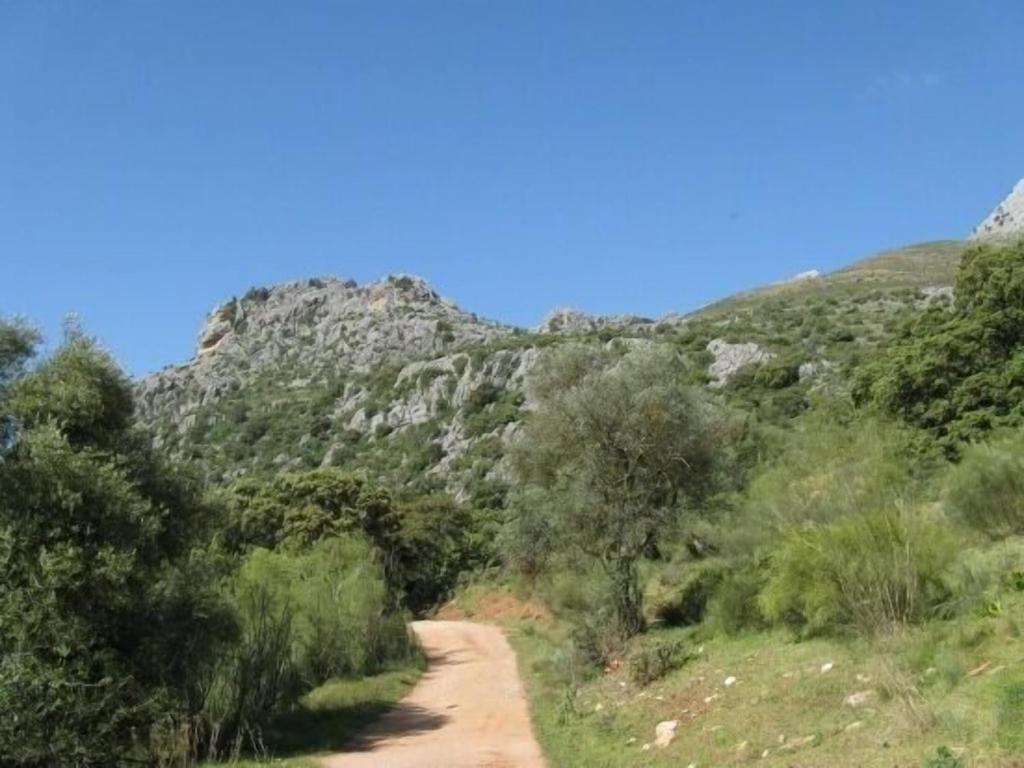 Molino Del Caracol Villa Benaoján Kültér fotó