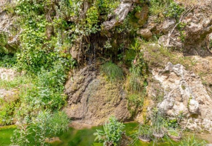 Molino Del Caracol Villa Benaoján Kültér fotó